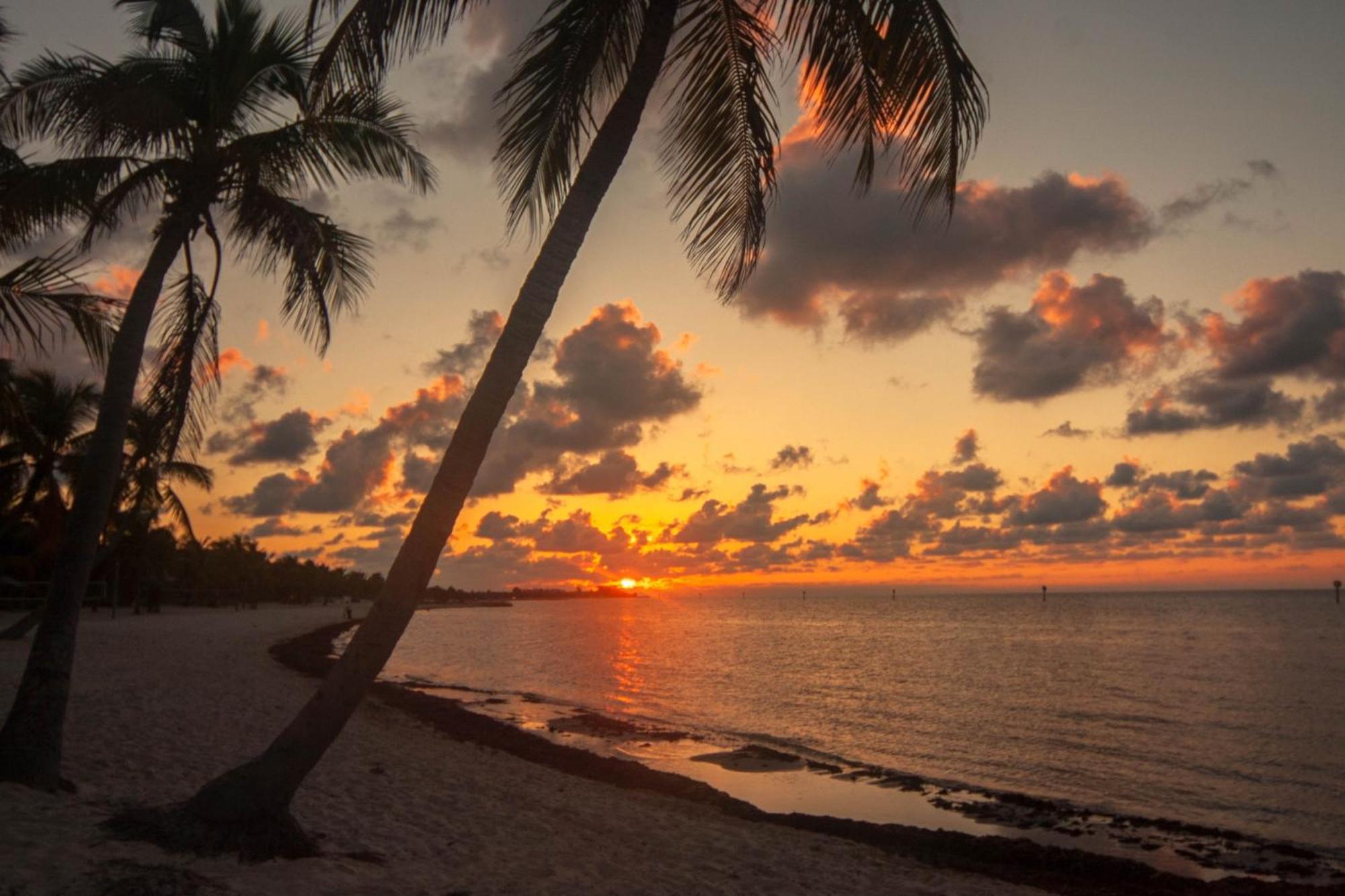 Truman Key West Zimmer foto